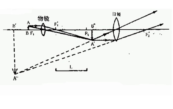 显微镜光路原理示意图图片