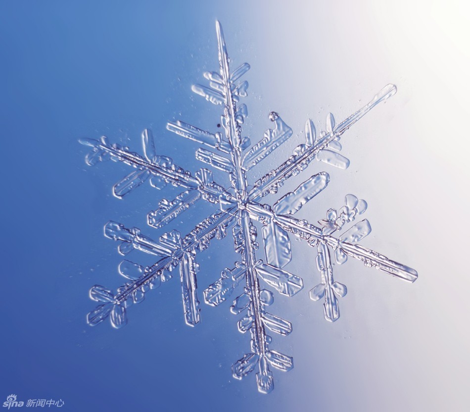 你知道雪花用显微镜放大后是什么样子吗？